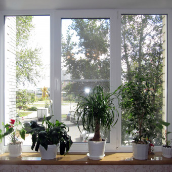 Пластиковые окна, двери, порталы